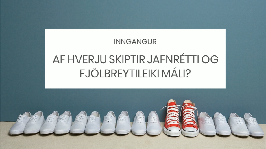 Jafnrétti og fjölbreytileiki á vinnustaðnum